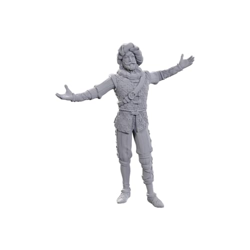 D&D Nolzur's Marvelous Miniatures: Special Edition Baldur's Gate 3 (Volo & Withers) von WizKids