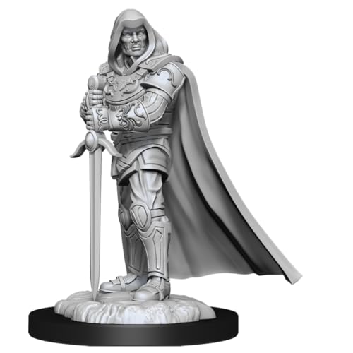 Human Paladin Male D&D Nolzur's Marvelous Unpainted Miniatures (W13) von WizKids