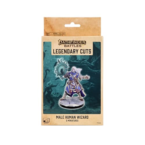 Male Human Wizard: Pathfinder Legendary Cuts (W2A) von WizKids