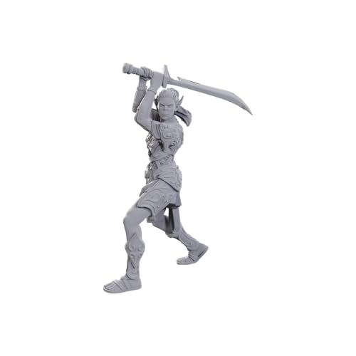 WizKids D&D Nolzur's Marvelous Miniatures: Special Edition Baldur's Gate 3 (Lae'zel & Shadowheart) von WizKids