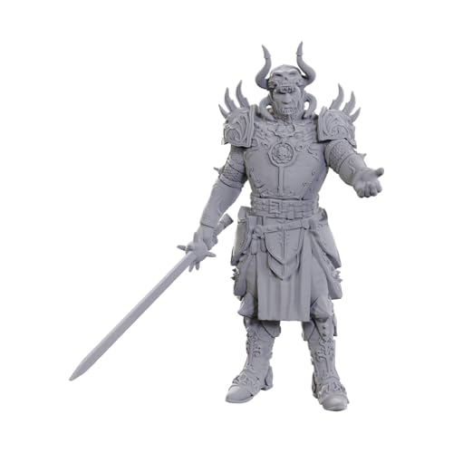 WizKids D&D Nolzur's Marvelous Miniatures: Special Edition Baldur's Gate 3 (Sarevok Anchev & Raphael) von WizKids