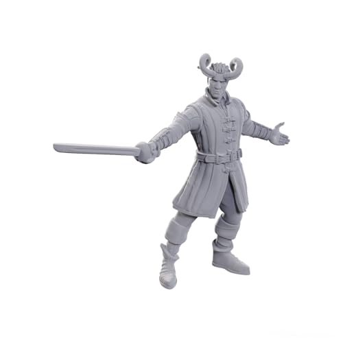WizKids D&D Nolzur's Marvelous Miniatures: Special Edition Baldur's Gate 3 (Wyll & Karlach) von WizKids