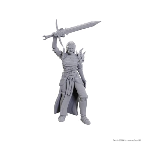 WizKids Dungeons & Dragons Nolzur's Marvelous Miniatures | Unlackierte Miniaturen | Welle 25 (Blackguard) von WizKids