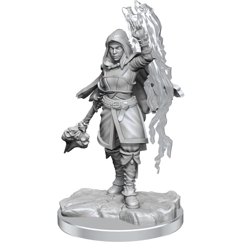 Wizkids D&D Nolzurs Marvelous Half-Elf Warlock Miniatures Wizkids D&D Nolzurs Marvelous Half-Elf Warlock Miniatures von WizKids