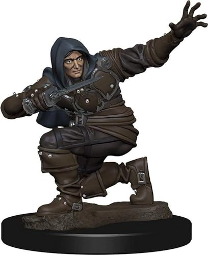 Wizkids Pathfinder Battles: Premium Painted Figure - Human Cleric Male (6 Units) - EN von WizKids