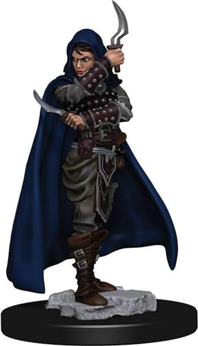 Wizkids Pathfinder Battles: Premium Painted Figure - Human Rogue Female (6 Units) - EN von WizKids