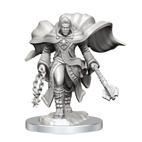WizKids D&D Nolzur's Marvelous Miniatures: Aasimar Cleric Male von WizKids