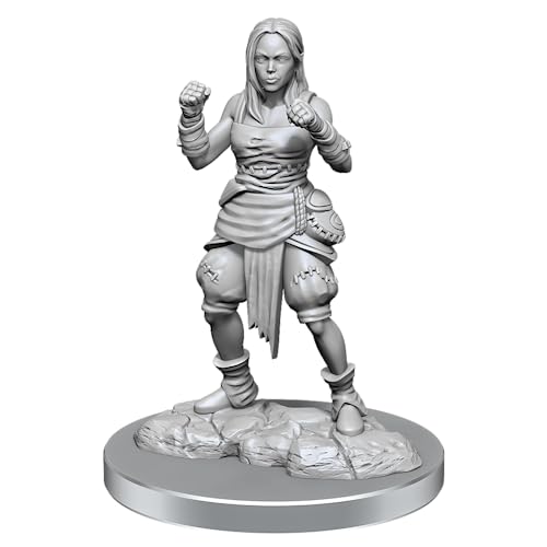 WizKids Pathfinder Deep Cuts: Halb-Elf Mönch Weibliche Pathfinder Miniaturen WizKids Pathfinder Deep Cuts: Halb-Elf Mönch Weibliche Pathfinder Miniaturen von WizKids