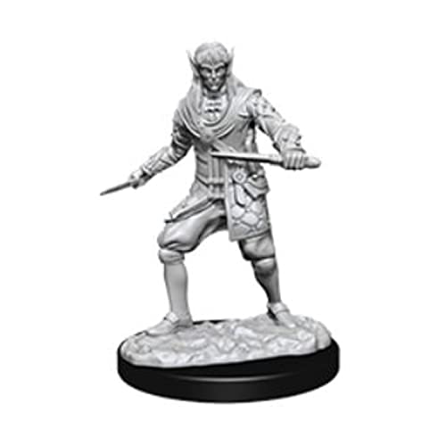 WizKids WZK73854 Elf Zubehör, Nicht bemalt von WizKids