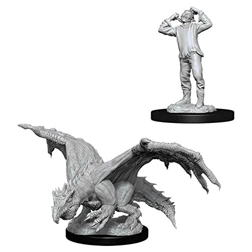 WizKids WZK90029 Accessories von Dungeons & Dragons