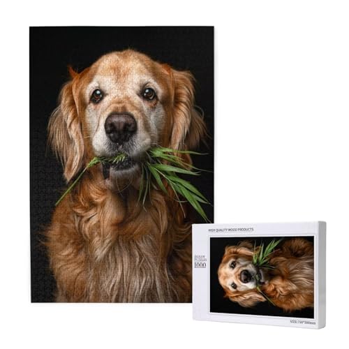 Hund Puzzle 1000 Teile Erwachsene, DIY Gras Puzzle Design für Erwachsene und Kinder ab 5 Jahren, HD Farbe Puzzel mit Geschenkbox Verpackung for Wand Zimmer Deko Wohnzimmer, Geschenke für Frauen -9874 von Wjffnzbz