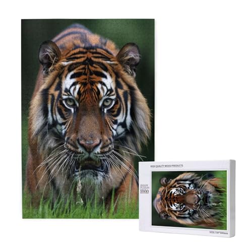 Tiger Puzzle 1500 Teile Erwachsene, DIY Tier Puzzle Design für Erwachsene und Kinder ab 5 Jahren, HD Farbe Puzzel mit Geschenkbox Verpackung for Wand Zimmer Deko Wohnzimmer, Geschenke für Frauen -8315 Tiger Puzzle 1500 Teile Erwachsene, DIY Tier Puzzle Design für Erwachsene und Kinder ab 5 Jahren, HD Farbe Puzzel mit Geschenkbox Verpackung for Wand Zimmer Deko Wohnzimmer, Geschenke für Frauen -8315 von Wjffnzbz