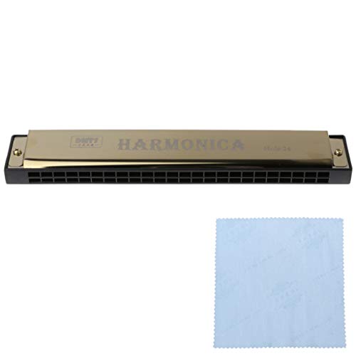 Wjsdsg Professionelle 24-Loch Mundharmonika Mundorgel Aus Metall Für Anfänger Wjsdsg Professionelle 24-Loch Mundharmonika Mundorgel Aus Metall Für Anfänger von Wjsdsg