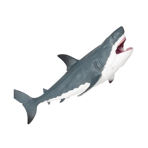 Wjsdsg Realistisches Modell Für Wissenschaftliche Ausstellungen Und Klassenzimmer. Meerestiermodell Zur Ausstellung Und Sammlung Wjsdsg Realistisches Modell Für Wissenschaftliche Ausstellungen Und Klassenzimmer. Meerestiermodell Zur Ausstellung Und Sammlung von Wjsdsg