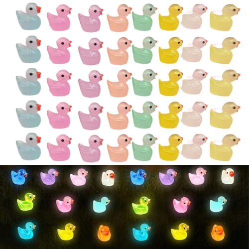 Mini Enten Harz, 120 Stück Mini Leuchtende Harzenten,Miniatur Bunt Enten, Enten Miniaturfiguren, für DIY Potting Micro Landschaft Dekorationen Lieferungen, 8 Farben gemischt Mini Enten Harz, 120 Stück Mini Leuchtende Harzenten,Miniatur Bunt Enten, Enten Miniaturfiguren, für DIY Potting Micro Landschaft Dekorationen Lieferungen, 8 Farben gemischt von Wohlstand