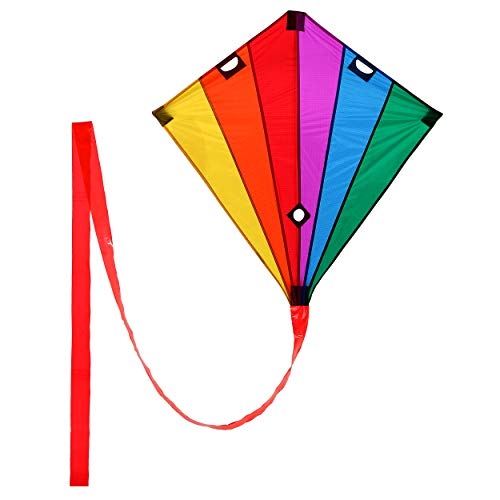 Wolkenstürmer® Racer Lenkdrachen (Rainbow) - Stablenkdrachen inkl. Leinen und Handgriffen - 90x90cm regenbogenfarbener Leichter Einsteigerdrachen von Wolkenstürmer