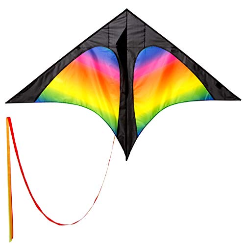 Wolkenstürmer® Delta Rainbow Kinderdrachen – Flugdrachen Regenbogen Einleiner inkl. Handgriff mit 40m Schnur – Bunter Einsteigerdrachen ab 4 Jahre von Wolkenstürmer