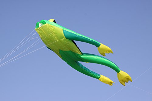 Wolkenstürmer® Fritz The Frog - Grüner Froschdrachen Einleiner Drachen ohne Gestänge für Einsteiger - 3D Drachen mit Spule & Polyesterschnur auf Spule von Wolkenstürmer