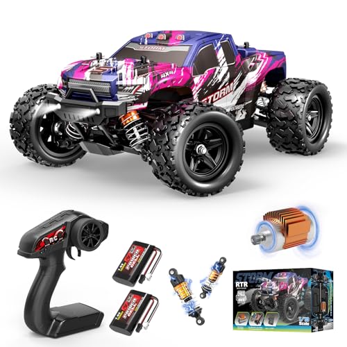 Womaqu Ferngesteuertes Auto ab 10 Jahre der Einstiegsklasse Hohe Geschwindigkeit,1:18 Offroad-RC-Truck 40 km/h, 4x4 mit 2 Batterien, Schnelles Outdoor RC Auto für Erwachsene von Womaqu