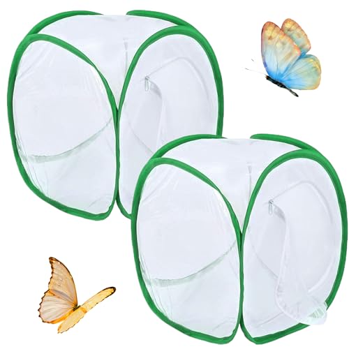 Butterfly Cage 2pcs Schmetterlingslebensraum Cage 12x12x12 '' faltbarer Schmetterlingshaus Schmetterling Garten Popup Mesh Zelt Net Raupen für Schmetterlingskit für Kindererziehung, Schmetterling Käf Butterfly Cage 2pcs Schmetterlingslebensraum Cage 12x12x12 '' faltbarer Schmetterlingshaus Schmetterling Garten Popup Mesh Zelt Net Raupen für Schmetterlingskit für Kindererziehung, Schmetterling Käf von Womsclo