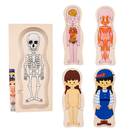 Wonsfuleu Kinder Anatomiespielzeug, Körperteile Puzzle | Anatomie für Kinder - Bildung Interaktives detailliertes Spiel Set Toys for STEM Education Science Science Fair Lab Studie von Wonsfuleu