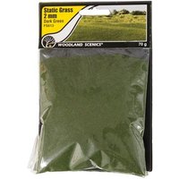 WOODLAND SCENICS WFS613 2 mm Static Grass Dark Green WOODLAND SCENICS WFS613 2 mm Static Grass Dark Green von Woodland Scenics