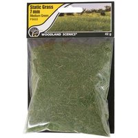 WOODLAND SCENICS WFS622 7 mm Static Grass Medium Green WOODLAND SCENICS WFS622 7 mm Static Grass Medium Green von Woodland Scenics