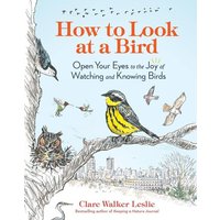 How to Look at a Bird von Workman