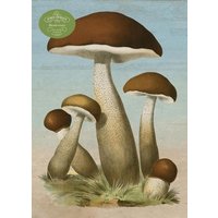 John Derian Paper Goods: Mushrooms 1,000-Piece Puzzle von Workman Publishing