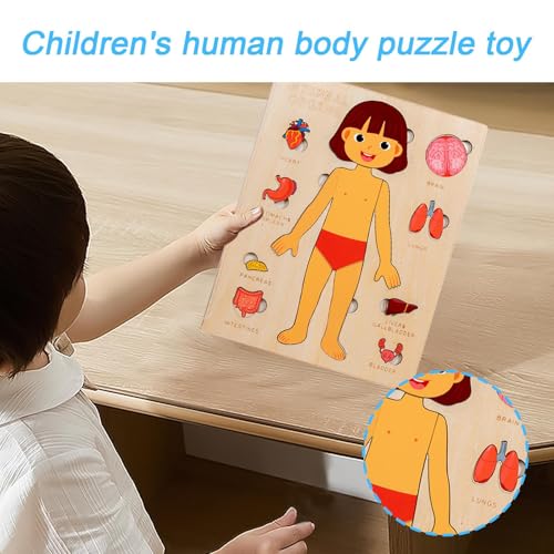 Körperteile Buch Für Kleinkinder 1-3 | Pädagogisches Holzpuzzle Vom Menschlichen Körper,Wissenschaftliches Spielzeug Für Kleinkinder Und Kinder Mädchen Kindergarten Schule Unterricht von Wpsagek