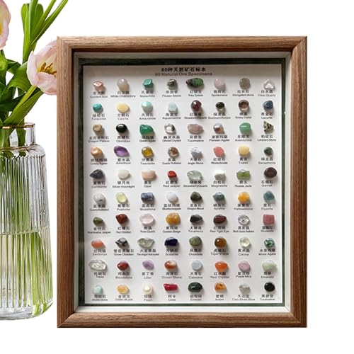 Mineralien-Identifikationsset, 80x Rohsammlung, pädagogisches Gestein und Mineralproben, klassisches raues Kristall-Set in Holzrahmen, vielseitige Heimdekoration, ideal für Sammler Mineralien-Identifikationsset, 80x Rohsammlung, pädagogisches Gestein und Mineralproben, klassisches raues Kristall-Set in Holzrahmen, vielseitige Heimdekoration, ideal für Sammler von Wrohto