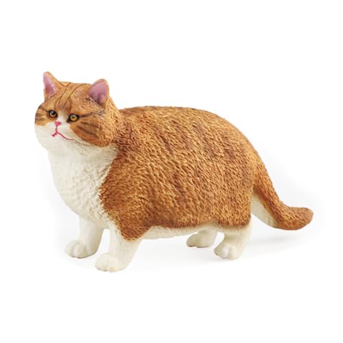 XAGMODSHN Mehrere Plastikkatzen Model Spielzeugfiguren Für Rasen Landschaft Katzen Modell Rasengarten Landschaft Hinterhof Schreibtisch Dekore XAGMODSHN Mehrere Plastikkatzen Model Spielzeugfiguren Für Rasen Landschaft Katzen Modell Rasengarten Landschaft Hinterhof Schreibtisch Dekore von XAGMODSHN