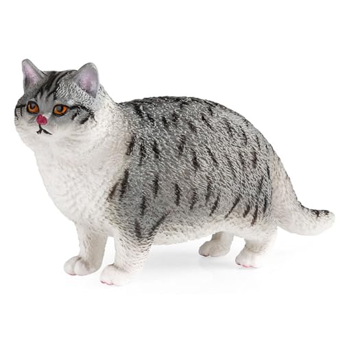 XAGMODSHN Mehrere Plastikkatzen Model Spielzeugfiguren Für Rasen Landschaft Katzen Modell Rasengarten Landschaft Hinterhof Schreibtisch Dekore von XAGMODSHN