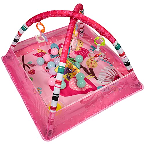 XANNI 2-in-1 Krabbeldecke für Babys, Krabbeldecke und Spielmatte für Neugeborene mit Musik und Licht, Spielbogen aus Schaumstoff, 18 bunte Bälle, großes Fitnessstudio für Neugeborene XANNI 2-in-1 Krabbeldecke für Babys, Krabbeldecke und Spielmatte für Neugeborene mit Musik und Licht, Spielbogen aus Schaumstoff, 18 bunte Bälle, großes Fitnessstudio für Neugeborene von XANNI