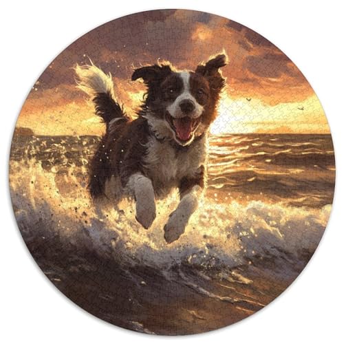 Australischer Schäfer Puzzles 1000 Teile Schwer Puzzle Spielzeug Pädagogisches Spiel Impossible Herausforderung Spielzeug Für Erwachsene Und Kinder Ab 12 Jahren 1000pcs (67.5x67.5cm) von XBBDSOEPH