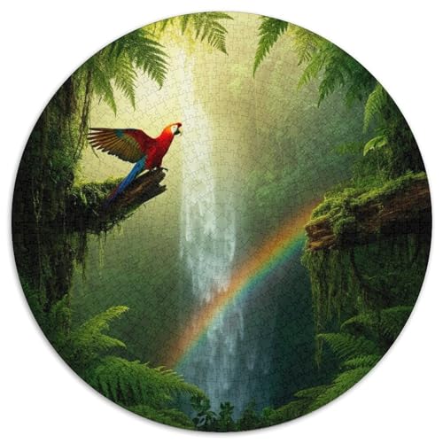 Wald Puzzle 1000 Teile Schwer Puzzle Spielzeug Lernspiel Impossible Papagei RainWald Herausforderungsspielzeug Für Erwachsene Kinder 1000pcs (67.5x67.5cm) von XBBDSOEPH