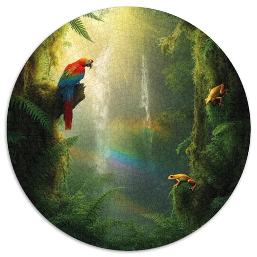 Wald Puzzle 1000-teilige Schwer Puzzle Spielzeug Pädagogisches Spiel Impossible Papagei RainWald Herausforderungsspielzeug Für Erwachsene Und Kinder Ab 14 Jahren 1000pcs (67.5x67.5cm) von XBBDSOEPH
