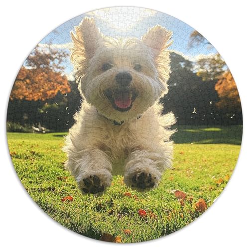 West Highland Weißer Terrier Puzzles 1000 Teile Schwer Puzzle Spielzeug Pädagogisches Spiel Impossible Herausforderungsspielzeug Für Erwachsene Und Kinder Ab 12 Jahren 1000pcs (67.5x67.5cm) von XBBDSOEPH
