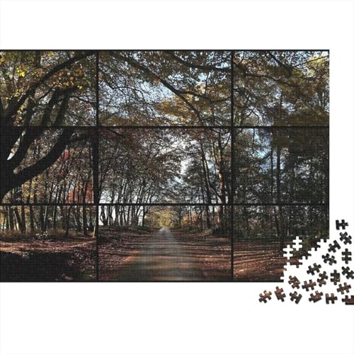 David Hockney Holz Puzzlespiel Für Erwachsene, 1000 Teile, Museums Impossible Puzzle, Übung Für Den Geist, Interaktives Klassische Ölmalerei Puzzles David Hockney Holz Puzzlespiel Für Erwachsene, 1000 Teile, Museums Impossible Puzzle, Übung Für Den Geist, Interaktives Klassische Ölmalerei Puzzles von XCOFG