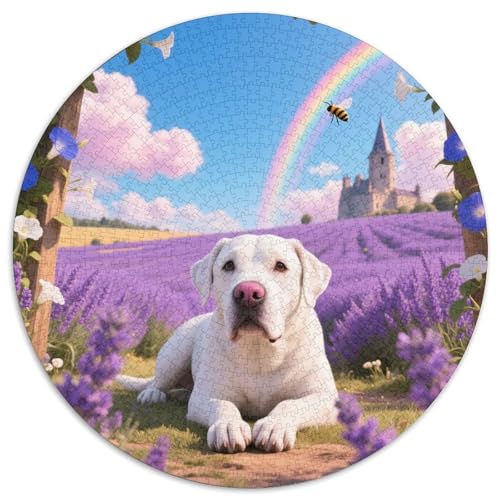 Dogo Argentino 1000 PCS Puzzles Stressabbau-Spielzeug Für Erwachsene Kinder Süße Haustiere Rundes Puzzle Puzzle-Spiele Wand Dekoration Geschenk 1000pcs (67.5x67.5cm) von XDDBYUIZP