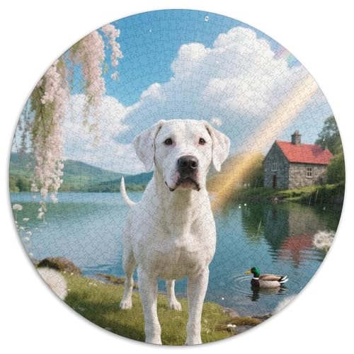 Dogo Argentino 1000 Stück Puzzles Für Erwachsene Und Kinder Jahren Süße Haustiere Runden Puzzle Puzzle-Spiele Wand Dekoration Geschenk 1000pcs (67.5x67.5cm) von XDDBYUIZP
