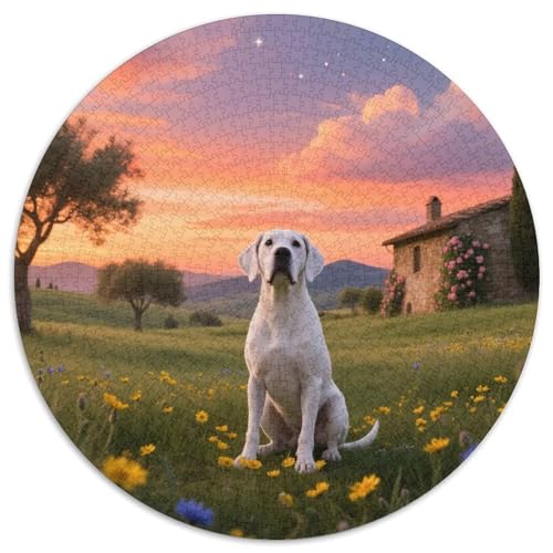 Dogo Argentino 1000 Stück Puzzles Süße Haustiere Circular Puzzle Puzzle-Spiele Wand Dekoration Geschenk 1000pcs (67.5x67.5cm) von XDDBYUIZP