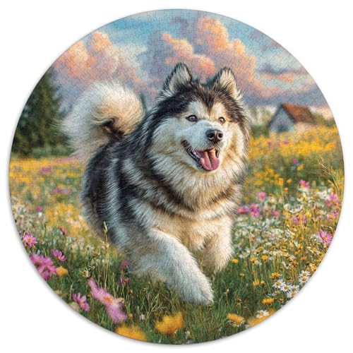Haustierhund 1000 Stück Puzzles Stressabbau Spielzeug Für Familienpuzzle Runden Puzzle Puzzle-Spiele Wand Dekoration Geschenk (67.5x67.5cm) von XDDBYUIZP
