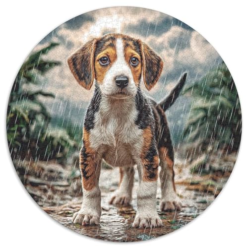 Haustierhund 1000 Stück Puzzles VerringerterDruck Circular Puzzles Puzzle-Spiele Wand Dekoration Geschenk (67.5x67.5cm) von XDDBYUIZP
