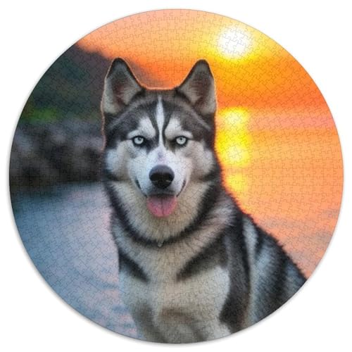 Husky Hund 1000 Stück Puzzle Stressabbau Spielzeug Für Familienpuzzle Süße Haustiere Rundes Puzzle Puzzle-Spiele Wand Dekoration Geschenk 1000pcs (67.5x67.5cm) von XDDBYUIZP