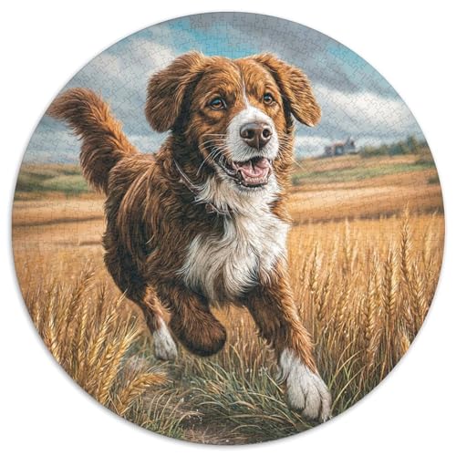 Netter Hund 1000 PCS Puzzles Stressabbau Spielzeug Für Familienpuzzle Runden Puzzle Puzzle-Spiele Wand Dekoration Geschenk (67.5x67.5cm) von XDDBYUIZP