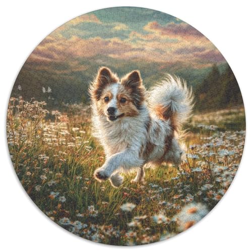 Netter Hund 1000 Stück Puzzle VerringerterDruck Runden Puzzle Puzzle-Spiele Wand Dekoration Geschenk (67.5x67.5cm) von XDDBYUIZP