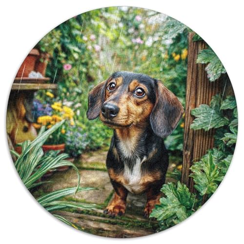 Netter Hund 1000 Stück Puzzles Stressabbau Spielzeug Für Familienpuzzle Circular Puzzle Puzzle-Spiele Wand Dekoration Geschenk (67.5x67.5cm) von XDDBYUIZP