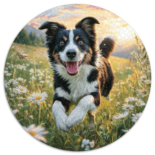 Netter Hund 1000 Stück Puzzles Stressabbau Spielzeug Für Familienpuzzle Circular Puzzles Puzzle-Spiele Wand Dekoration Geschenk (67.5x67.5cm) von XDDBYUIZP
