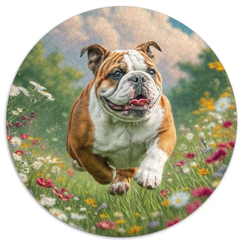 Niedlicher HaustiErhund 1000 Stück Puzzle Stressabbau Spielzeug Für Familienpuzzle Rund Puzzle Puzzle-Spiele Wand Dekoration Geschenk (67.5x67.5cm) von XDDBYUIZP